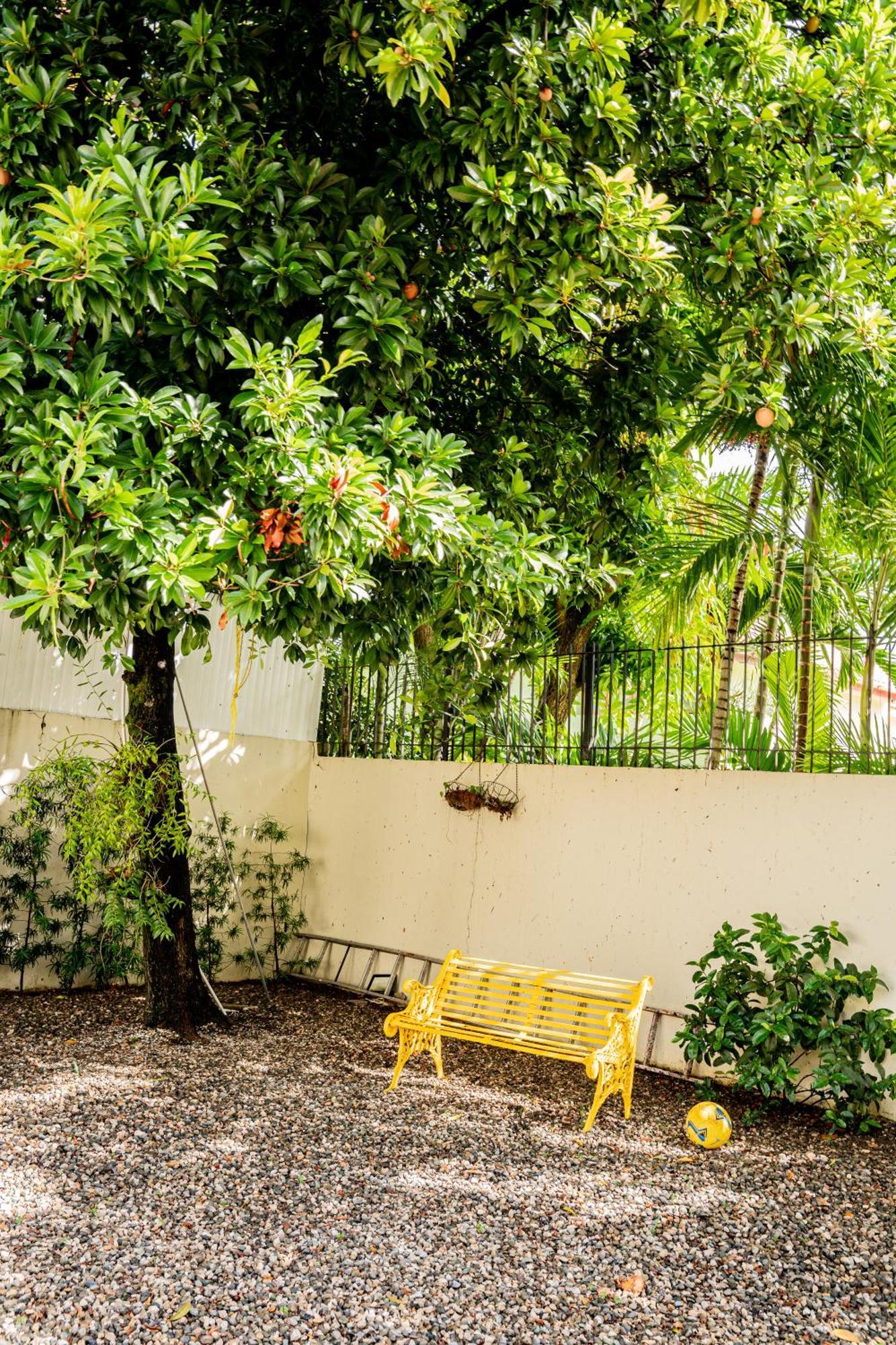 Habitacion Privada En Puerto Plata Bayardo エクステリア 写真